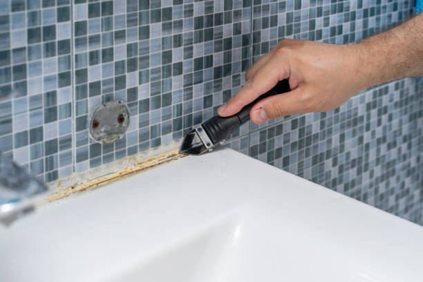 Best Preventive Mold Services in Wren, AR